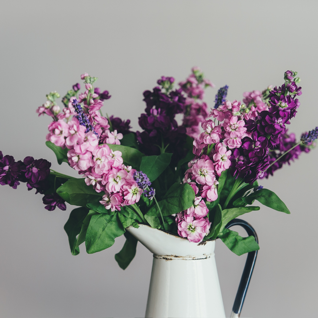 Omeo Flowers