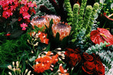d.Australian Native bouquet Wild Ride