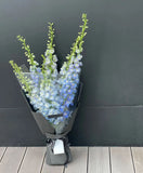 Carnegie Florist Delphinium Bouquet