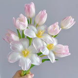 Carnegie Florist Tulip Bouquet
