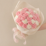 Carnegie Pastel Color Carnation Bouquet | Melbourne Flower Delivery | Omeo Flowers