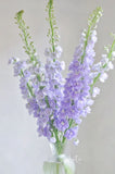 Carnegie Florist Delphinium Bouquet