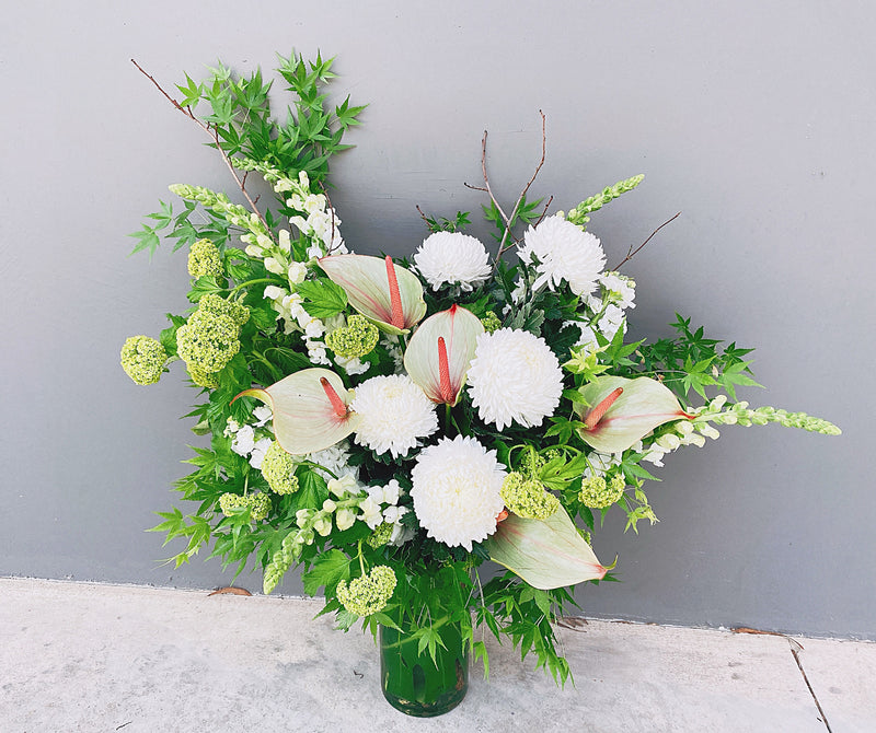 b.绽放你的思想