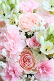 a. Florist Choice - Pink Colour